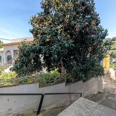 Mi Idilio Hébergement de vacances